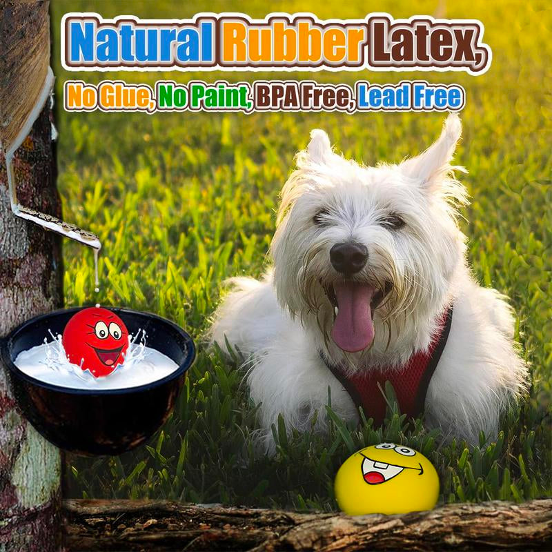 Squeaky Dog for Small Dogs Latex Soft Puppy Toys Balls Smile Face Flat Mini Breeds